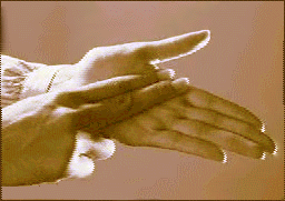 sign language